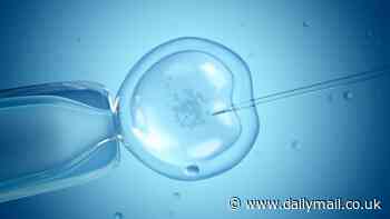 An ultrasound zap could help sluggish sperm to swim faster and boost the success of IVF procedures, study finds