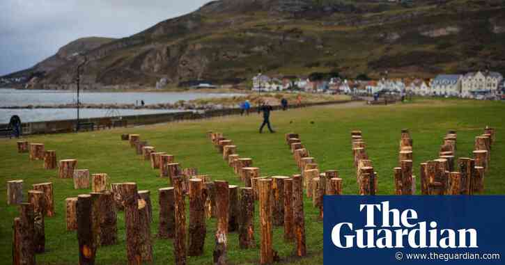 From New York to north Wales: artist’s field of logs recreated on Llandudno beach