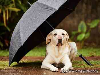 UX Design Strategy: Designing for the 'Unhappy Path'