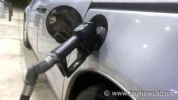 A very tiny drop in Florida's gas prices