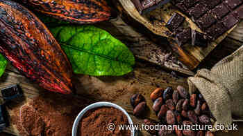 Chocolate prices likely to remain at a record high for 2024