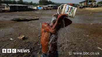 Amazon's record drought driven by climate change