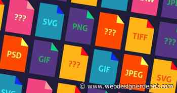 Everything You Need to Know About Image Formats In 2024