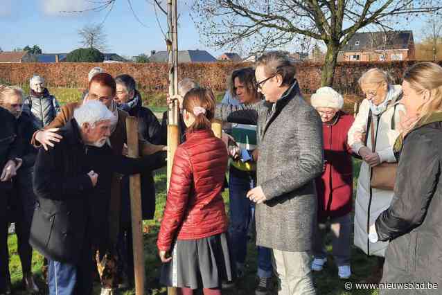 Gemeente plant boom tegen dementie