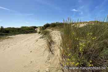 “Schandalig, leve de democratie!”: vijftiger zwaar misnoegd over jaar cel voor brandstichting in duinen