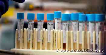 Scientific breakthrough discovers 'wildly weird' ancient lifeform in all humans