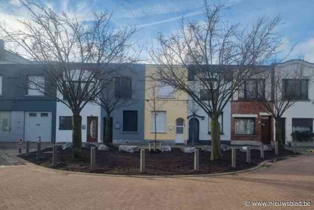 District plant twee toekomstbomen