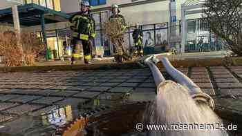 „Immenser Wasseraustritt“ - Wenn's der Sprinkler nicht war, was war‘s dann?