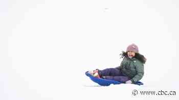 Kate's 5 fun things to do this weekend in Waterloo region and area: Family Day weekend edition