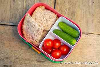 Havenarbeider moet gedragstraining volgen na mep met brooddoos: “Hij werd al wekenlang getreiterd”