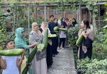 City Bridge grant to St Peter's Bethnal Green garden project
