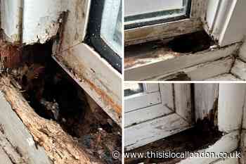 Harold Hill dad slams Havering Council over rotten window frame