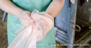 Application period open for 2024 FFAR Vet Fellows