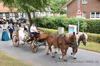 Warburg: Haben Pferde in Schützenumzügen eine Zukunft?