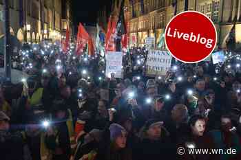 Protest gegen AfD ist „größte Demo in der Geschichte der Stadt“