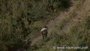 Multiple horses stolen and slaughtered in southwest Miami-Dade