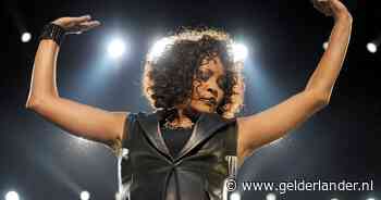Producenten Whitney Houston-film aangeklaagd om gebruik muziek