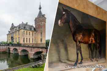 Kasteelpaarden Axel Vervoordt zoeken groom