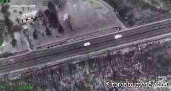 New video shows arrest of break-and-enter suspect found hiding in wooded area in York Region