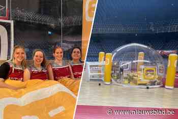 Vier Giants-fans mogen nachtje slapen op parket van Lotto Arena: “We hebben geen schrik, maar de zaal oogt gigantisch”