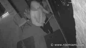 Thieves caught targeting SW Miami-Dade homes to steal guns, luxury watches and more