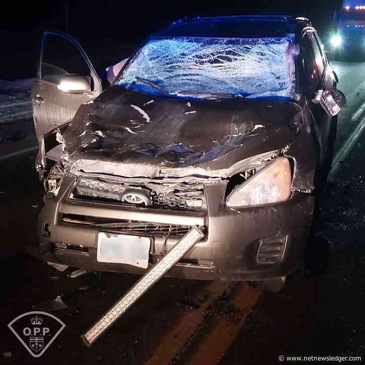 Moose Encounter Leads to Highway Collision South of Cochrane
