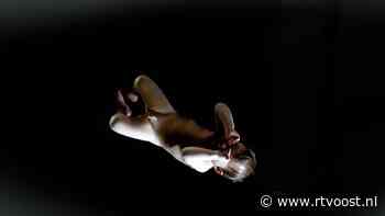 Stations of the Cross leidt je door Hengelo langs de lijdensweg van Jezus