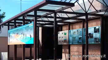 Museo Casal de' Pazzi, tutto sul sito archeologico che ebbe origine da una zanna d'elefante