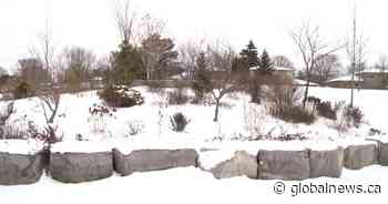 Hope grows for Stouffville garden amid cenotaph, armoured tank relocation plan