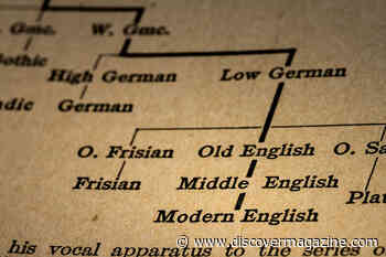 A New Look At Our Linguistic Roots