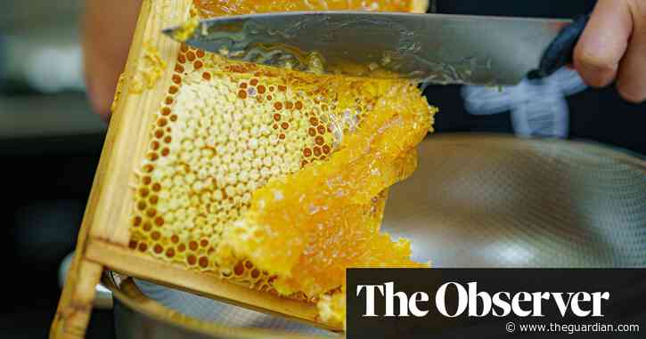 From beehive to kitchen table: UK beekeepers call for new law to trace honey’s origin