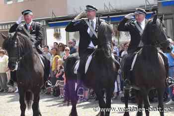 Kommentar: Haben Pferde in Schützenumzügen noch eine Zukunft?