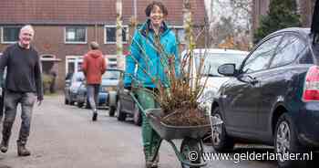 Beps woning gaat plat, maar de planten in haar tuin krijgen een tweede leven: ‘Van de zotte dat het naar de stort gaat’