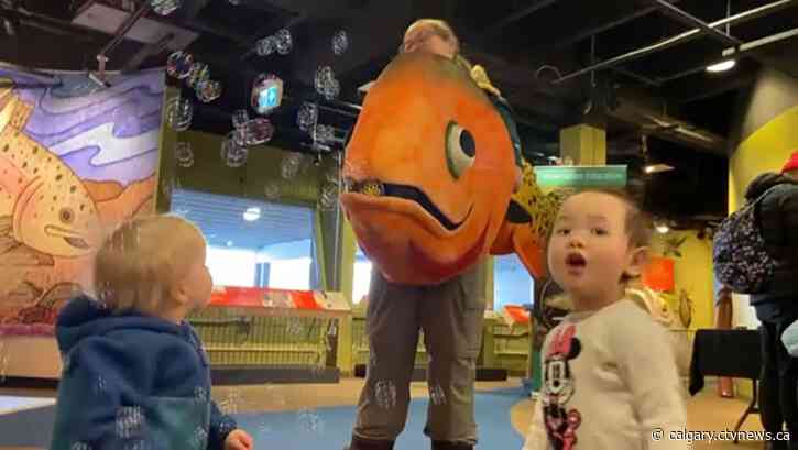 Fishtival offers activities, fish-feeding, theatre