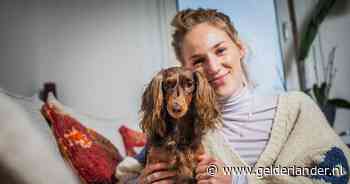 Teckel Badu eet bijna volledig veganistisch: ‘Ze kunnen overleven zonder vlees, net zoals mensen’