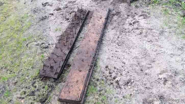 Man rijdt met pony in planken met spijkers: 'Ik ben pislink'