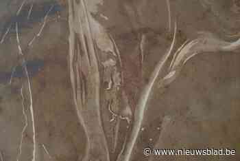 Kunstenaarscollectief Turn To Print stelt werk voor in de Bijl