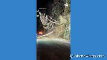 WATCH:  Trees topple onto highway during rockslide