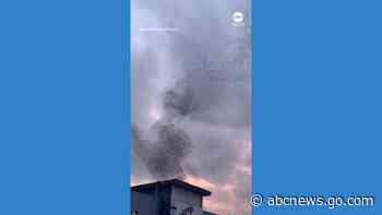 WATCH:  Swarms of starlings fly in whimsical formation at sunset