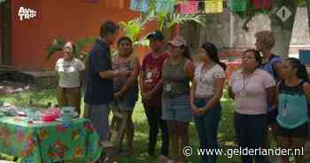 Twee ratten liegen en bedriegen erop los in Wie is de Mol?