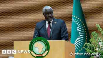 AU Commission chief urges action on Africa instability