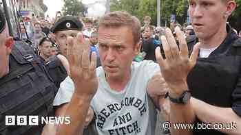 Alexei Navalny's moments of defiance as Putin's fiercest critic