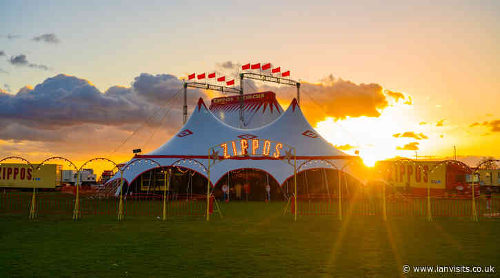 Tickets Alert: Zippos Circus is back in town