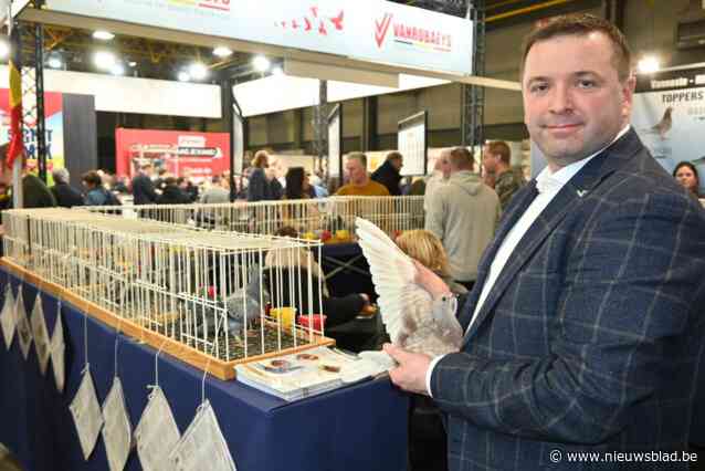 13de Fugare in Kortrijk Xpo: “België nog steeds bakermat van duivensport”