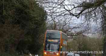 Major plan to ease bus congestion woes at Rownham Hill junction