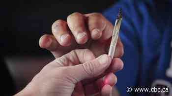 More than a bad trip: Experts warn about the risk of cannabis-induced psychosis