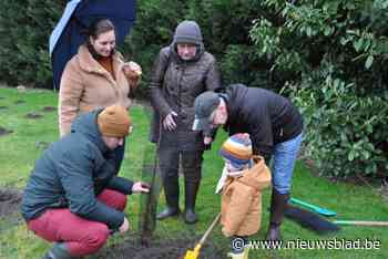 Geboortebos breidt uit: “Ook boompje voor broertje dat op komst is”