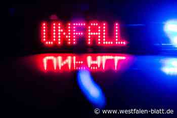 23-jähriger Fahrer schleudert mit BMW gegen Ampel