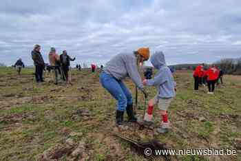 Tweede Gooiks speelbos op een week tijd aangeplant in Strijland