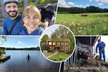 Niels en Anke laten alles achter en verhuizen naar Zweden: “We kunnen in een huisje op een boerderij wonen”